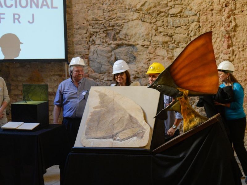 Museu Nacional recebe doação de mais de mil peças